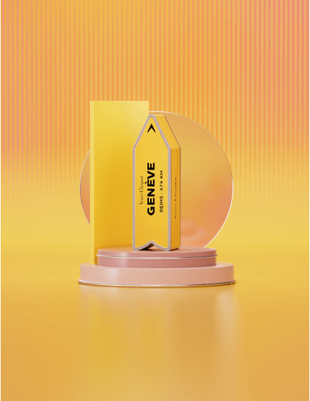 Veuve Clicquot ARROW "GENÈVE" Metal GIFTBOX Brut Carte Jaune - 75 cl
