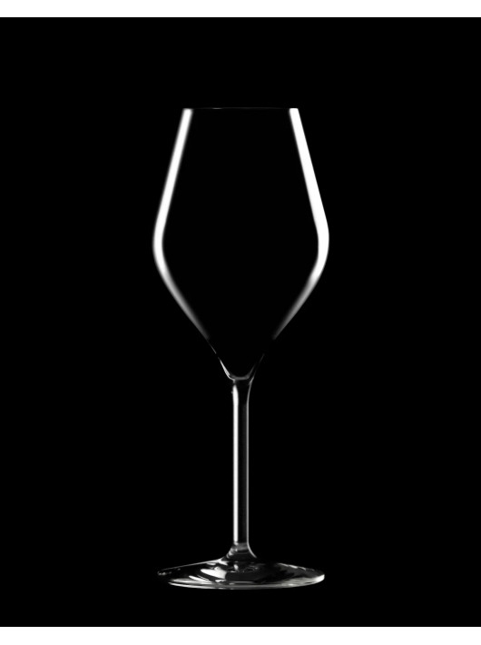 Champagne 2 Verres à champagne 38 cl en PLEXI