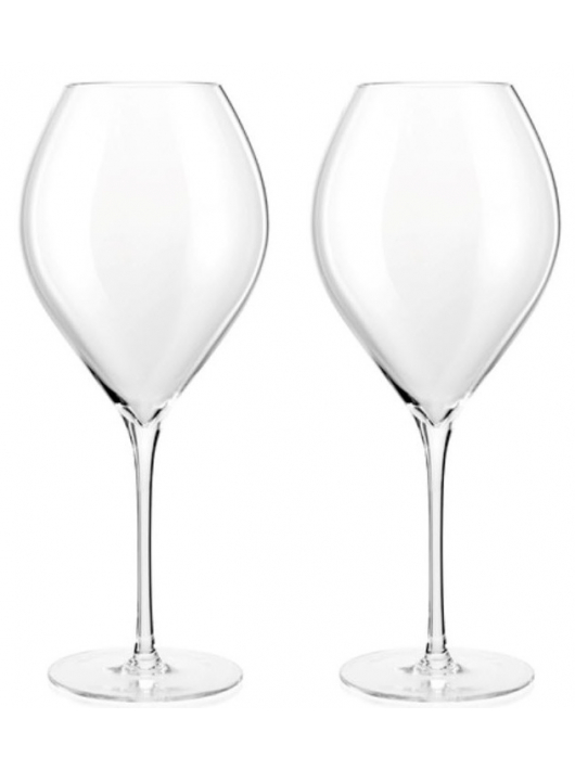 Veuve Clicquot Set 2 verres & La Grande Dame Brut BY Paola Paronetto Vintage 2015 - 75 cl