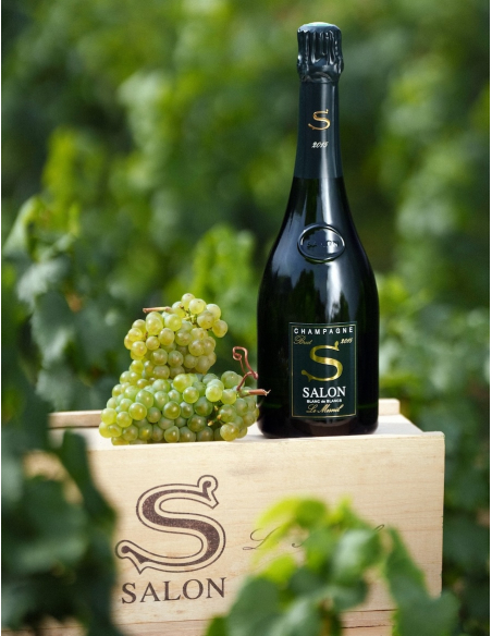 SALON Le Mesnil Blanc de blancs Vintage 2015 - 75 cl