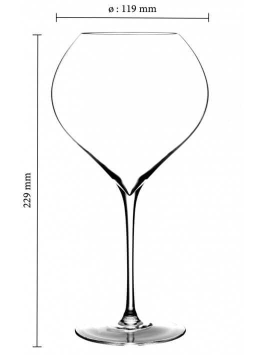 Champagne 6 Glasses 75 CL "CHAMPAGNE ON ICE" MADE IN REIMS