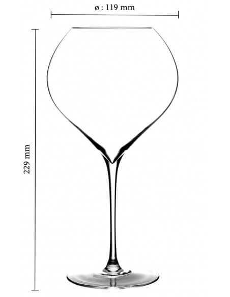 Champagne 2 VERRES 75 CL "CHAMPAGNE ON ICE" MADE IN REIMS