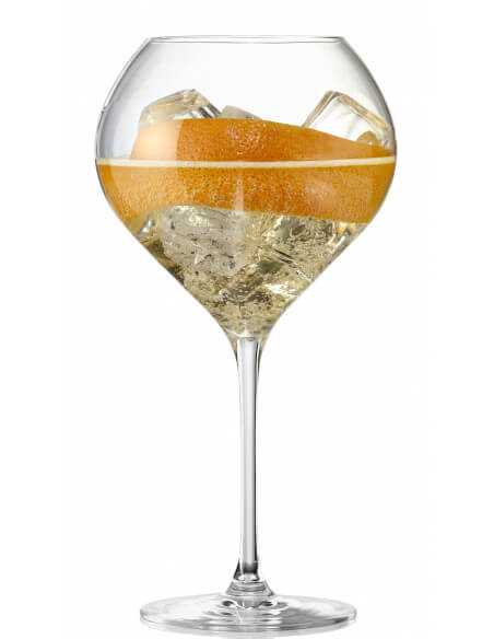 Champagne 2 GLASSES 75 CL "CHAMPAGNE ON ICE" MADE IN REIMS